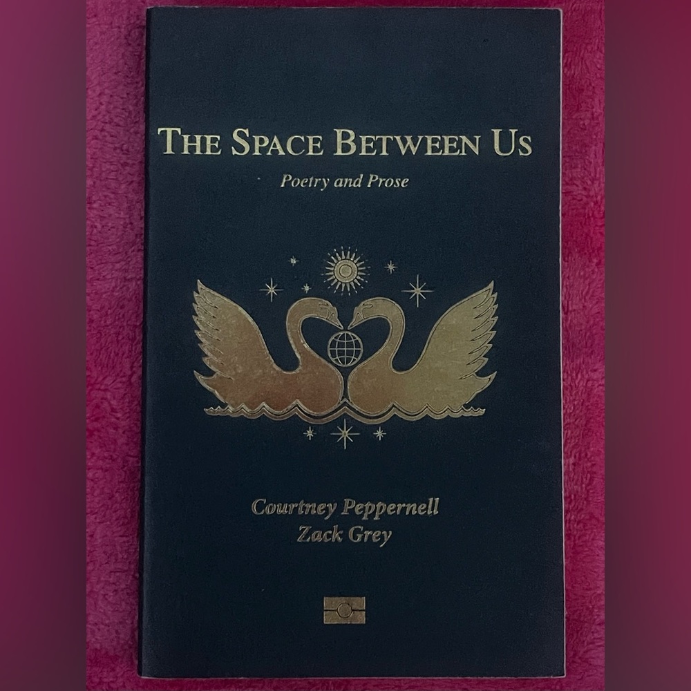 The Space Between Us Poetry Book